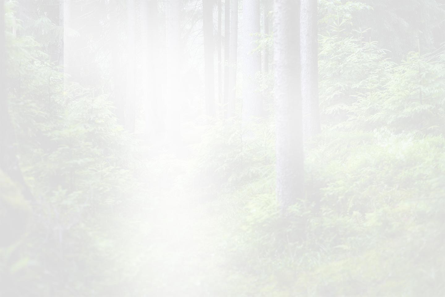 Zhejiang QianDuoMu Intelligente Dekoration Co., Ltd.